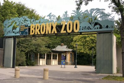 Bronx Zoo: Entry Ticket