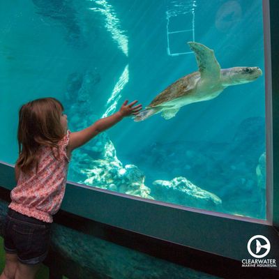 Clearwater Marine Aquarium: Entry Ticket - photo 2