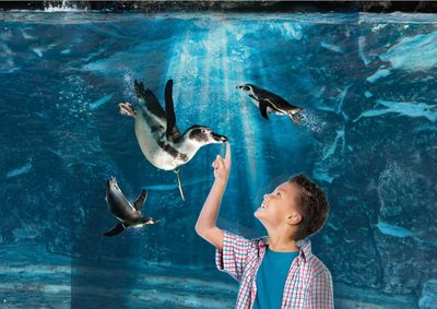 Aquarium of Cattolica: Fast Track Ticket