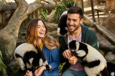 Mundomar Benidorm: Skip The Line Ticket