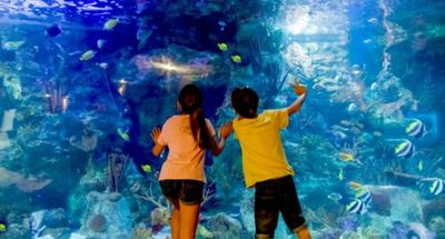 Mundomar Benidorm: Skip The Line Ticket - photo 2