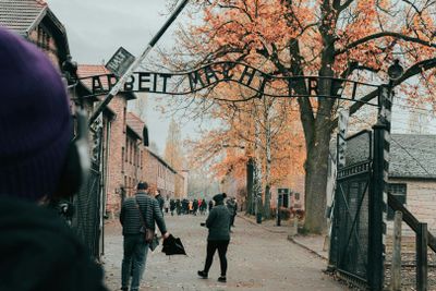 Auschwitz-Birkenau: Entry + Transport