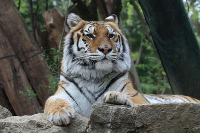 Pistoia Zoological Garden: Fast Track Ticket