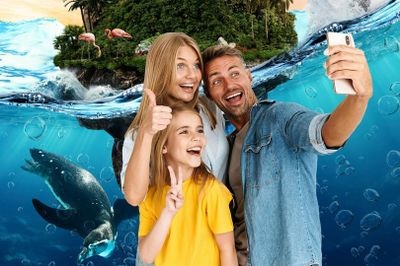 Selwo Marina: Entry Ticket