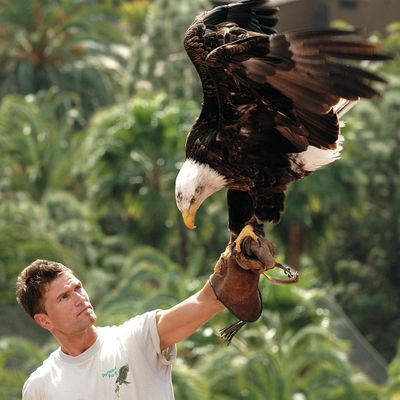 Palmitos Park: Entry Ticket