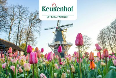 Keukenhof: Entry Ticket + Windmill Cruise + Transport