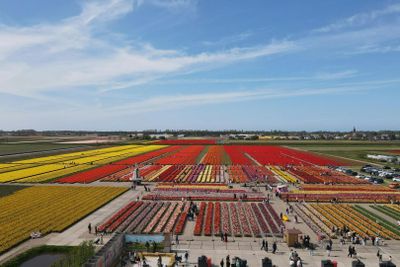The Tulip Barn: Entry Ticket