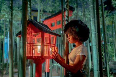 IKONO Madrid: Entry Ticket - photo 2