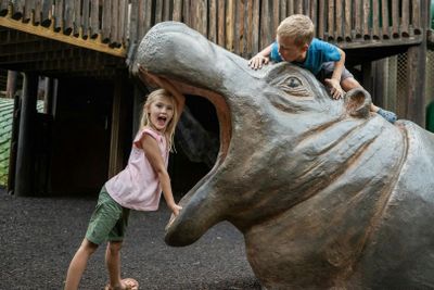 Nashville Zoo at Grassmere: Fast Track Ticket - photo 2