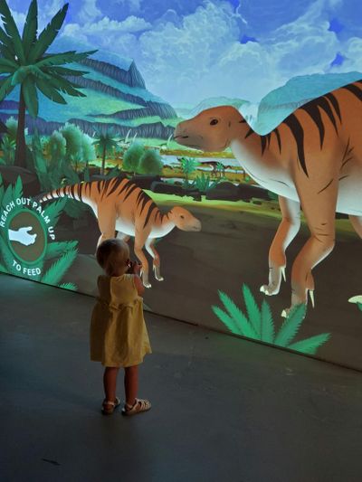 Las Vegas Natural History Museum: Entry Ticket