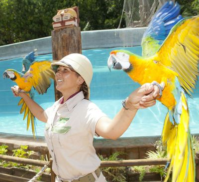 Jungle Park: Entry Ticket - photo 2