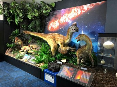 National Dinosaur Museum: Skip The Line Ticket - photo 2