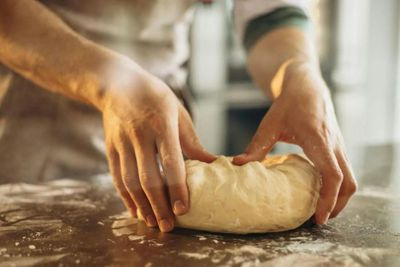 Aquarium of Genoa: Entry Ticket + Focaccia Tasting