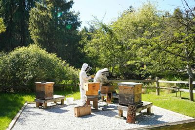 VanDusen Botanical Garden: Entry Ticket