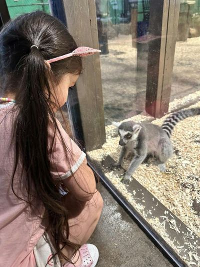 Austin Aquarium: Entry Ticket - photo 2