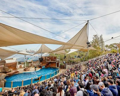 Taronga Zoo Sydney: Entry Ticket + Return Ferry - photo 2