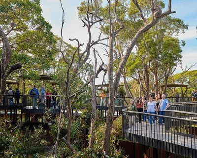 Taronga Zoo Sydney: Entry Ticket + Return Ferry