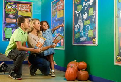 SEA LIFE Orlando: Entry Ticket