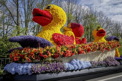 Amsterdam: Tulip Farm Entry + Flower Parade VIP with Transport - photo 2
