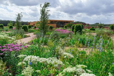 RHS Garden Bridgewater: Entry Ticket - photo 2
