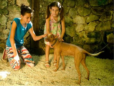 Croco Cun Zoo: Fast Track Ticket - photo 2