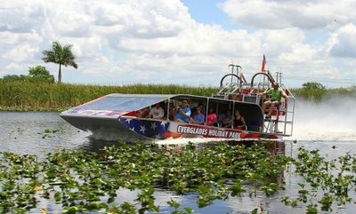 Everglades Holiday Park: Half-Day Trip from Miami with Entry + Transport