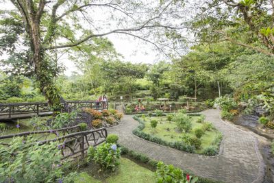 Mistico Arenal Hanging Bridges Park: Entry Ticket - photo 2