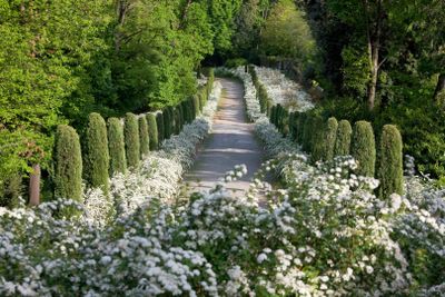 Masino Castle: Entry Ticket - photo 2