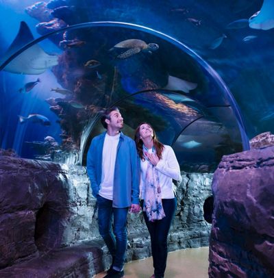 SEA LIFE Orlando & Madame Tussauds: Entry Ticket + Digital Photo