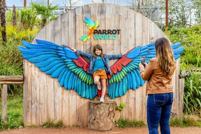 Parrot World: Day Ticket - photo 2