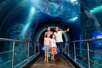 SEA LIFE Melbourne & LEGOLAND® Discovery Centre Combo Ticket