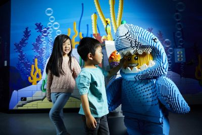 SEA LIFE Melbourne & LEGOLAND® Discovery Centre Combo Ticket - photo 2