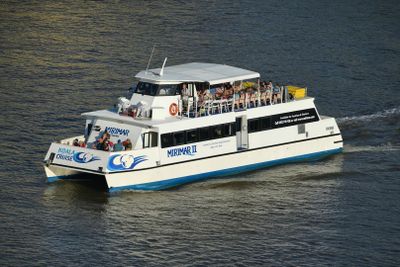 Lone Pine Koala Sanctuary: Entry Ticket + River Cruise from Brisbane - photo 2