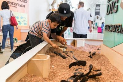 Natural History Museum of Los Angeles County: Entry Ticket - photo 2