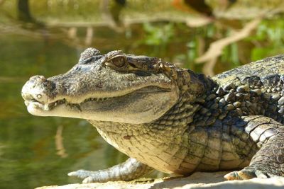 ZOA Parc: Entry Ticket