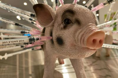 Disgusting Food Museum Berlin: Entry Ticket - photo 2