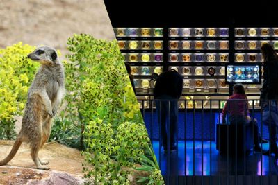 ARTIS Amsterdam Royal Zoo & Micropia: Skip The Line Entry Ticket