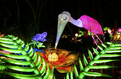 Bronx Zoo: Holiday Lights Tickets