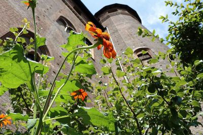 Palazzo Madama: Skip The Line Ticket - photo 2