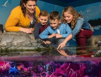 SEA LIFE Charlotte-Concord: Entry Ticket