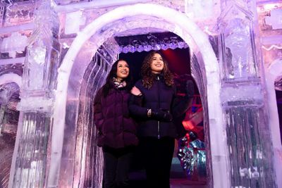 Art Below Zero: Ice Sculptures Exhibition Entry