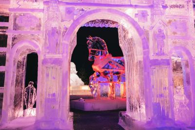 Art Below Zero: Ice Sculptures Exhibition Entry - photo 2