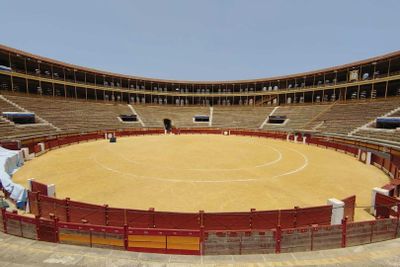 Alicante Bullring & Museum: Skip the Line Ticket