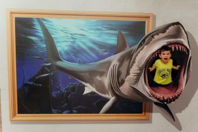 Porto: 3D Fun Art Museum Entry Ticket - photo 2