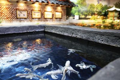 COEX Aquarium: Entry Ticket - photo 2