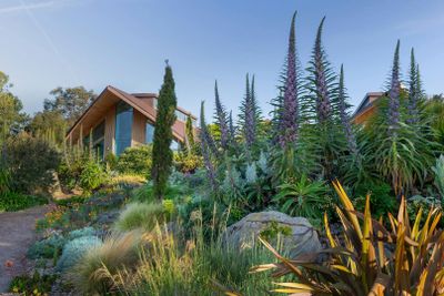 RHS Garden Hyde Hall: Entry Ticket