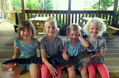 Wild Florida Gator Park Admission - photo 2