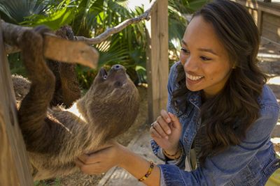 Wild Florida Gator Park Admission