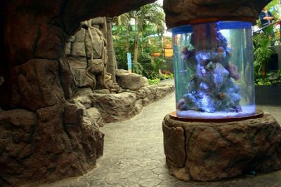 Underwater World Pattaya: Entry Ticket - photo 2