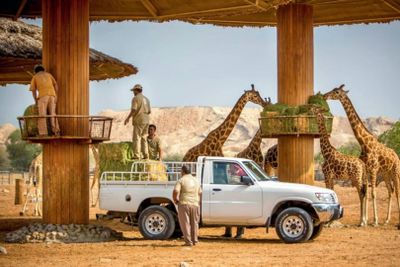 Al Ain Zoo: Entry Ticket - photo 2